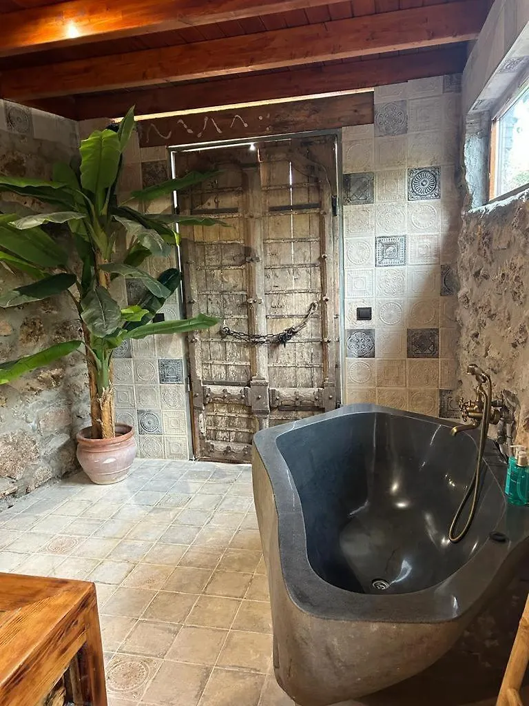 Cortijo Boutique Marbella Hotel Spain